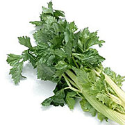 芹菜叶