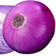 紫洋葱