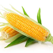 甜玉米